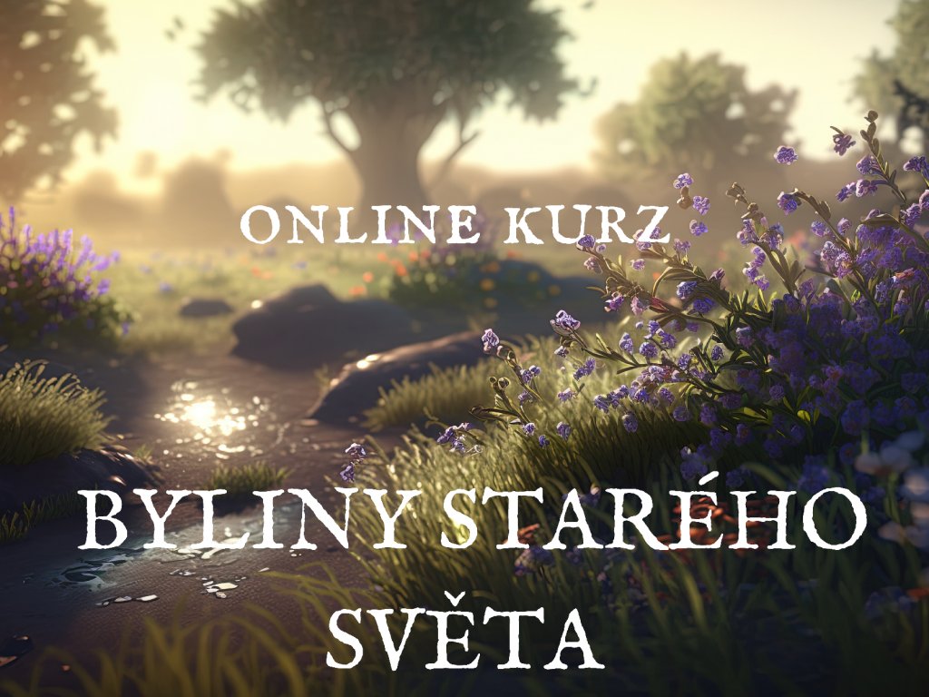STARÁ CESTA (10)