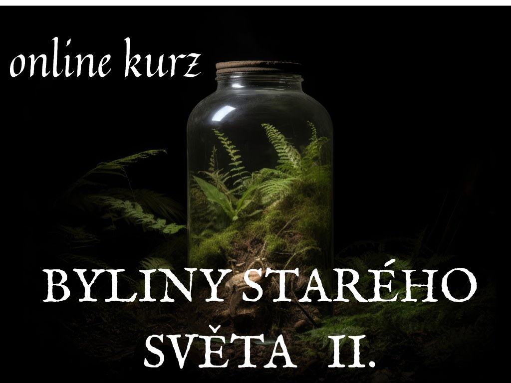 STARÁ CESTA (15)