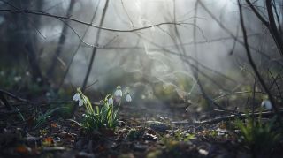 🌟ÚNOR🌟 Únor je měsícem, kdy se zima překlápí do své druhé poloviny. ❄️ Přináší nám více Slunce a připomíná, že období...