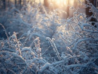 Každé ráno něco nového začíná. Čekají nás nové zážitky, nová setkání, nové výzvy i nové překážky. Každé ráno máme možnost...