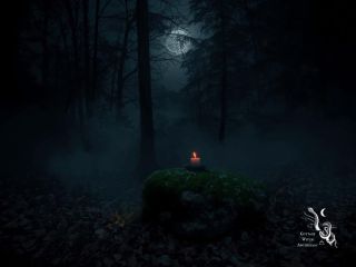 🌑 Poslední výzva: Překročte práh, než se brána uzavře Dívat se do stínů vyžaduje odvahu. Ale ovládnout je? To vyžaduje...