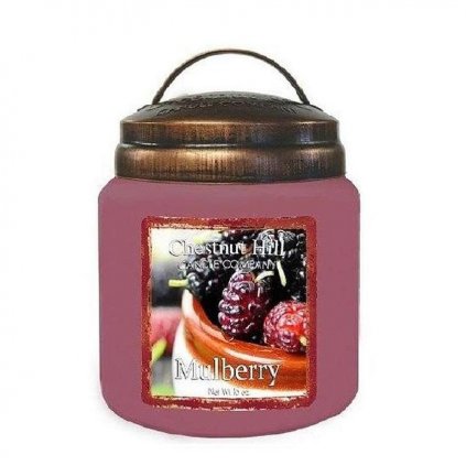 chestnut hill mulberry svicka velka