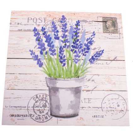 6E6B75767D 6B5C5A5A5A5A5A5A6E605A6C A2000000D60B