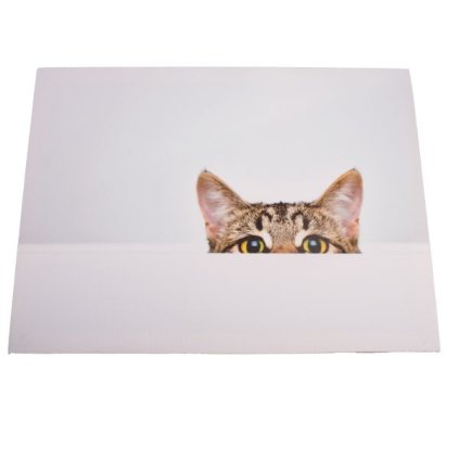 6E6B75767D 6B5C5A5A5A5A5A5A6E605B70 A2000000D61F