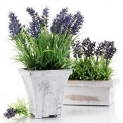 6E6B75767D 6B5C5A5A5A5A5A5A605F6B60 A200000065A6