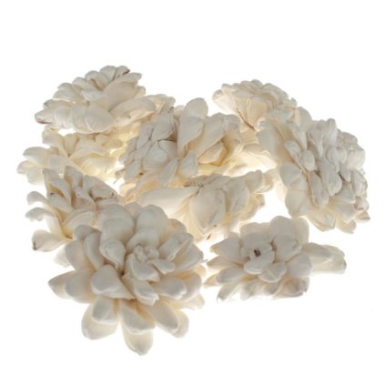 6E6B75767D 6B5C5A5A5A5A5A5B5B5E5C63 A20000011429