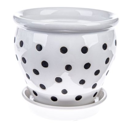 6E6B75767D 6B5C5A5A5A5A5A5B5A5E6F70 A200000104EF