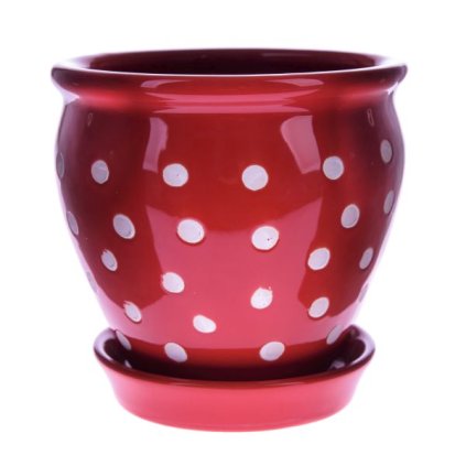 6E6B75767D 6B5C5A5A5A5A5A5B5A5E705F A200000104F5