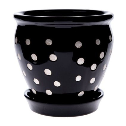 6E6B75767D 6B5C5A5A5A5A5A5B5A5E706E A200000104FD