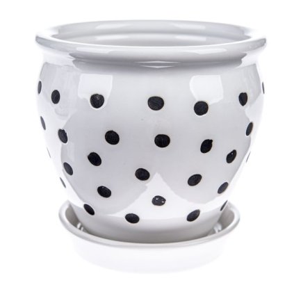 6E6B75767D 6B5C5A5A5A5A5A5B5A5E7070 A200000104FF