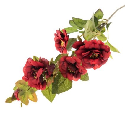 6E6B75767D 6B5C5A5A5A5A5A5B5A6C6F62 A20000010BE8