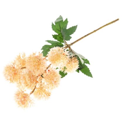 6E6B75767D 6B5C5A5A5A5A5A5B5A6C706D A20000010BFC