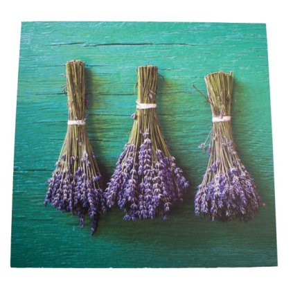 6E6B75767D 6B5C5A5A5A5A5A5A6E5F7061 A2000000D5F7