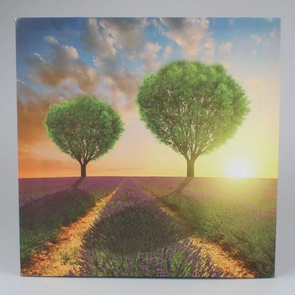 6E6B75767D 6B5C5A5A5A5A5A5A5B6D5B60 A20000001C16