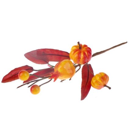 6E6B75767D 6B5C5A5A5A5A5A5A60606C6D A200000066BC