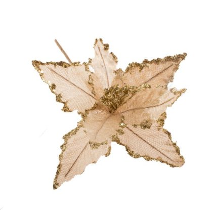 6E6B75767D 6B5C5A5A5A5A5A5A6E5D5B6E A2000000D31D