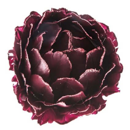 6E6B75767D 6B5C5A5A5A5A5A5A6270605E A20000008F64