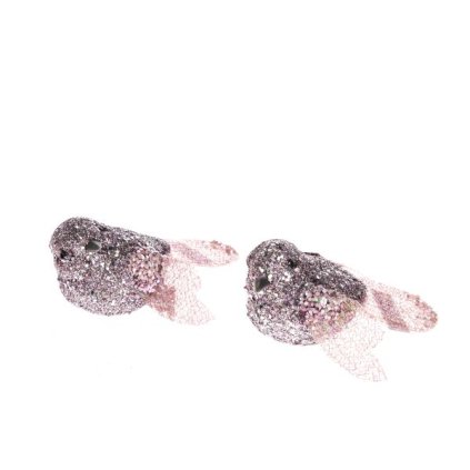 6E6B75767D 6B5C5A5A5A5A5A5A6D5F6362 A2000000C598