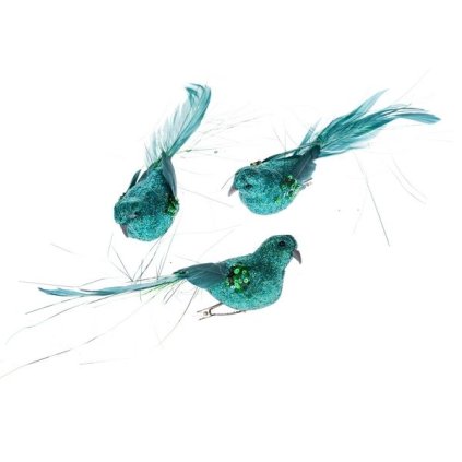 6E6B75767D 6B5C5A5A5A5A5A5B5A635E6E A2000001094D