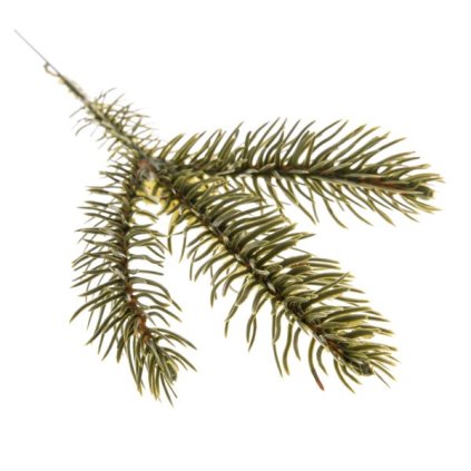 6E6B75767D 6B5C5A5A5A5A5A5A6E6F5A5D A2000000DE03