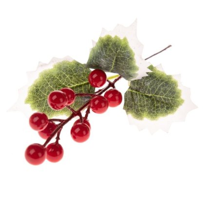 6E6B75767D 6B5C5A5A5A5A5A5B5B605C61 A20000011627