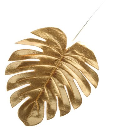 6E6B75767D 6B5C5A5A5A5A5A5B5C5E6D6C A200000124CB