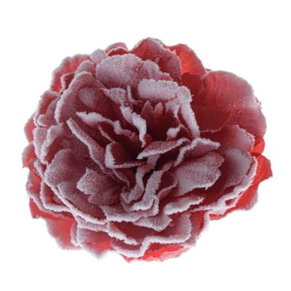 6E6B75767D 6B5C5A5A5A5A5A5B5C6C6F6C A20000012BEB