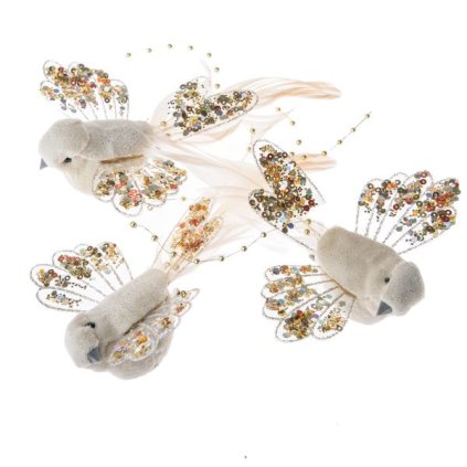 6E6B75767D 6B5C5A5A5A5A5A5B5C605A5B A20000012601