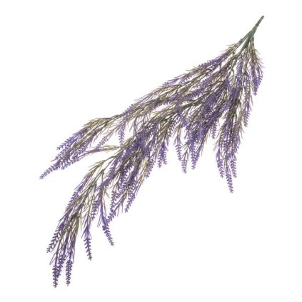 6E6B75767D 6B5C5A5A5A5A5A5B5D5C5E5C A20000013242