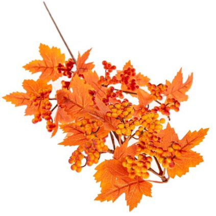 6E6B75767D 6B5C5A5A5A5A5A5B5D5F705C A200000135F2