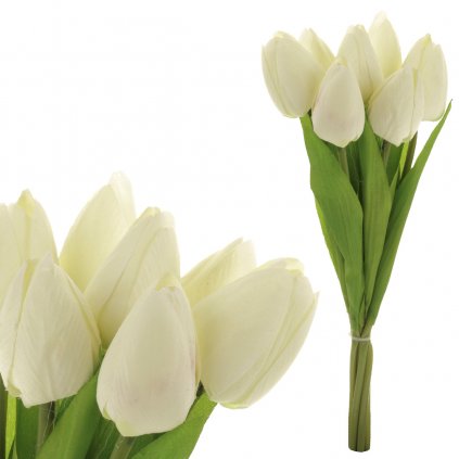 Puget tulipánů, 7 květů, barva krémová