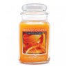 vonna svicka citrusove osvezeni citrus twist village candle