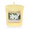 Yankee Candle - votivní svíčka Tobacco Flower 49g