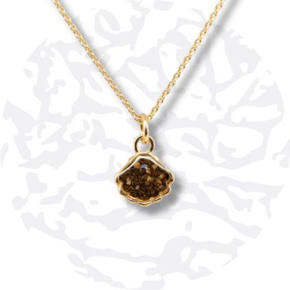 Necklace SHELL