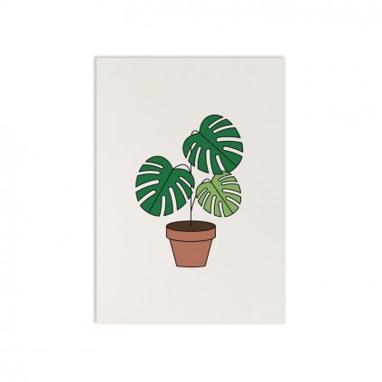 34503 la monstera pohlednice