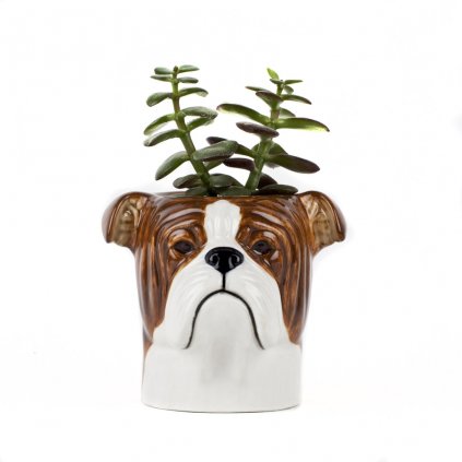 quail ceramics english bulldog pencil pot 02