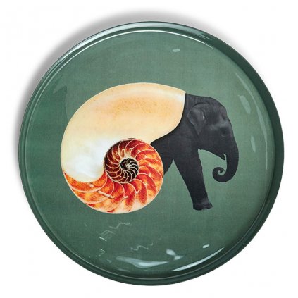 gangzai round tray gd386 shellephant