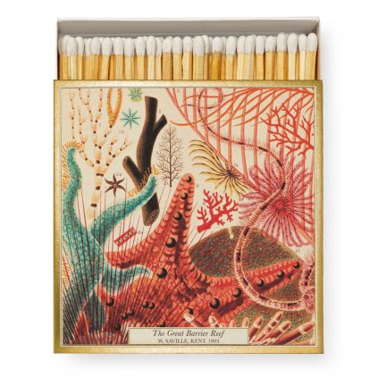 archivistgallery matchboxe natural history museum great barrier reef b313