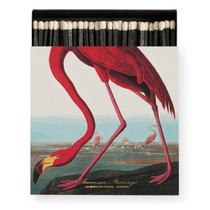 archivistgallery matchboxe the american flamingo by audubon b316