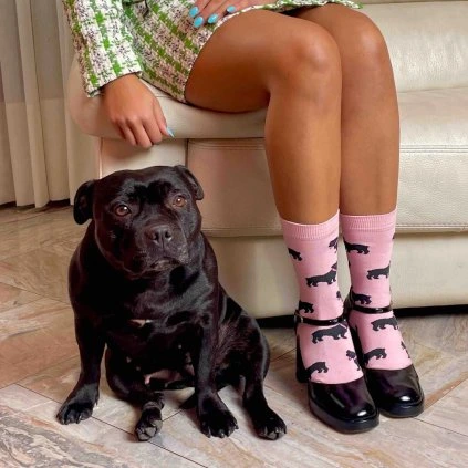 coucou suzette staffy cotton socks 3