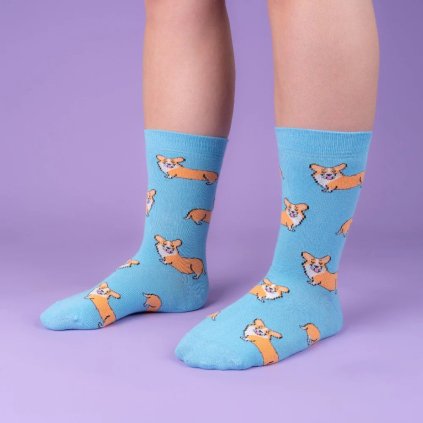 coucou suzette corgi dog patterned socks 3