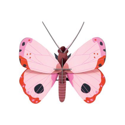 studioroof wall decoration rosora butterfly