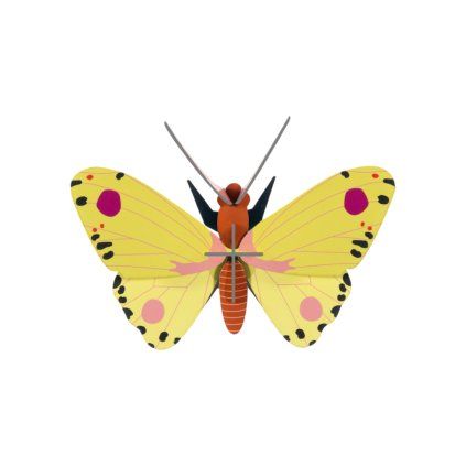 studioroof wall decoration luzerne butterfly
