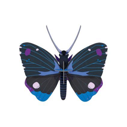 studioroof wall decoration blue diadem butterfly