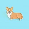 coucousuzette corgi pin