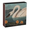 archivistgallery matchboxe the common american swan by audubon b318 front