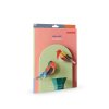studio roof robins garden bird packaging
