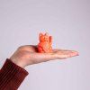 donkey products lucky cat solar neon orange mood 5