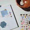suatelier daily deco stickers samolepky 1097 midsummer 2