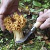 opinel pocket knife n8 mushroom 2